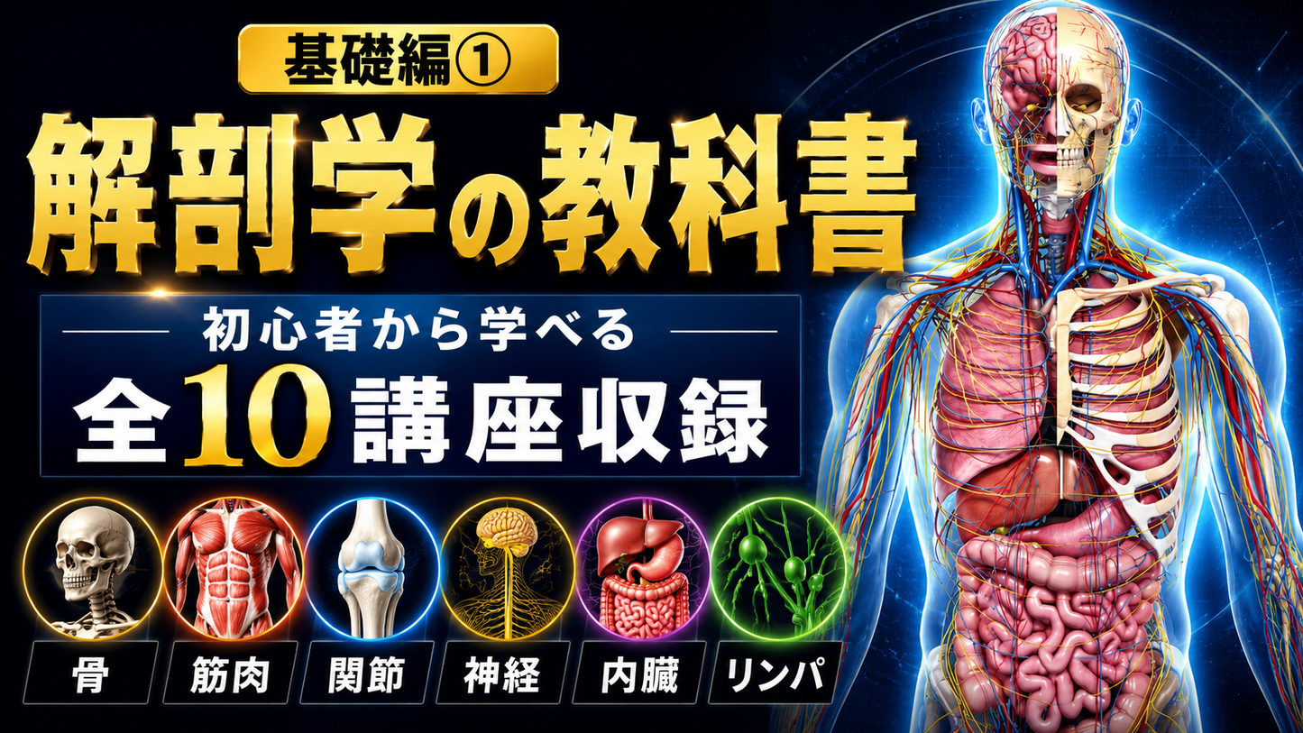 【施術の教科書(入門編)】 セラピストが最初に学ぶ10講座