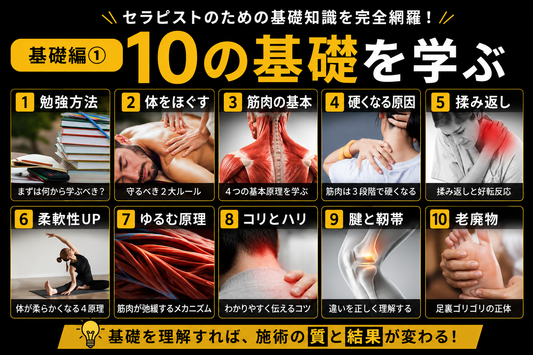 【施術の教科書（基礎編①）】コリの正体を学ぶ10講座