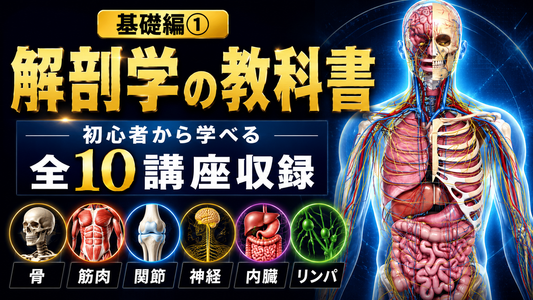 【施術の教科書（入門編）】 セラピストが最初に学ぶ10講座
